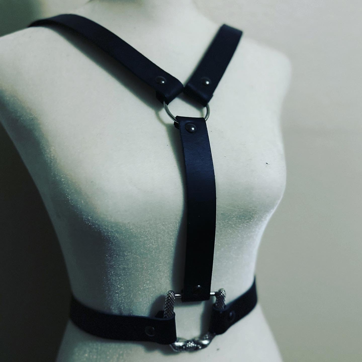 The Y Harness